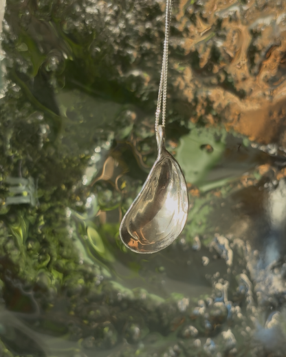Oyster Necklace